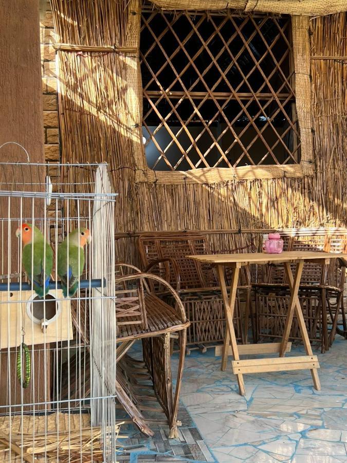 Отель Oasis Camp Бауити Экстерьер фото